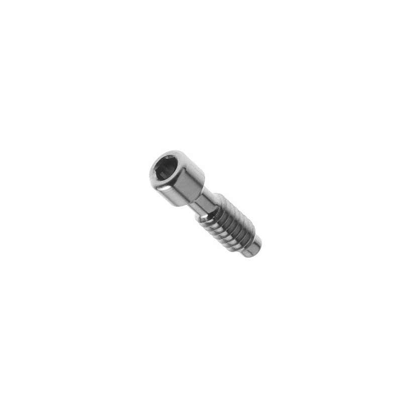 Tornillo M2 c/hex. 1,25 compatible Nobel Biocare Branemark diámetro 4.1 RP Royal Dent - 