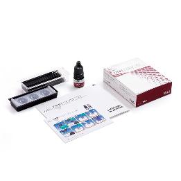 One Coat 7.0 kit autograbante Coltene - 5ml One Coat 7.0 + 50 Pinceles Negros + Bandeja con tapa.