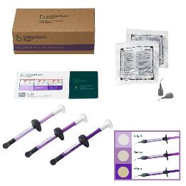 Filtek Easy Match Fluido Kit intro 6225K Solventum - Contiene: 3 jeringas de 2 grs.em colores Brigt , Natural y Warn.