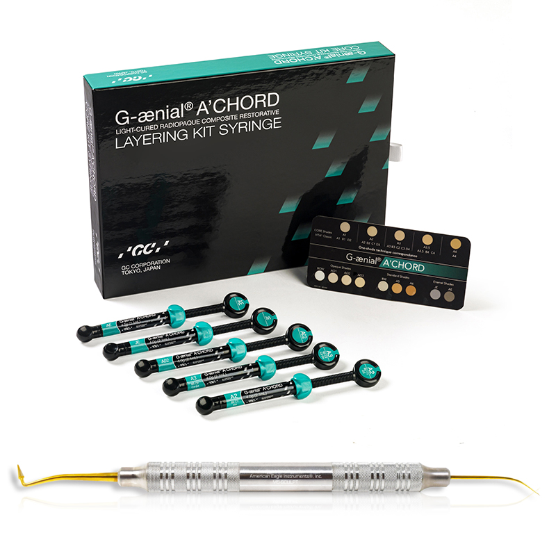 G-aenial A'CHORD Core Kit Syringe +AEI 10007328 GC - 
