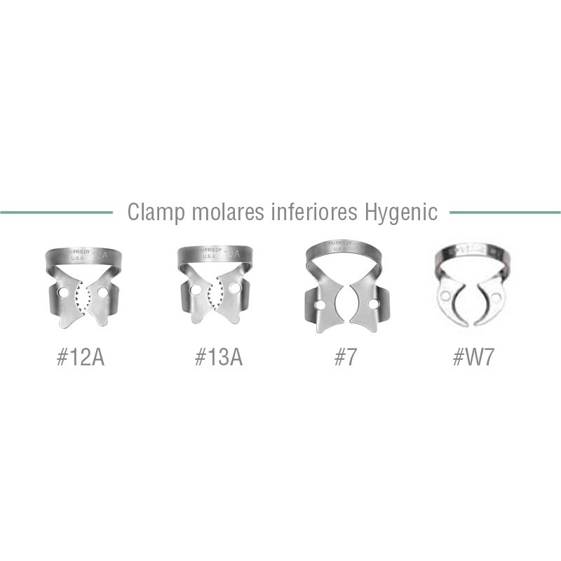 Clamp molares inferiores - 7,12A,13A,W7 Hygenic - 