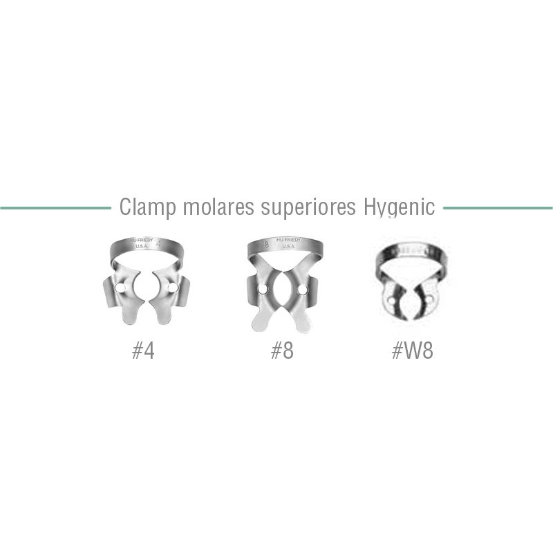 Clamp molares superiores - 4,8,W8 Hygenic - 