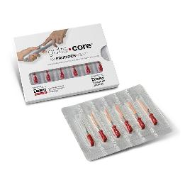 Protaper Next Guttacore rosa 6 unidades Dentsply Sirona - 