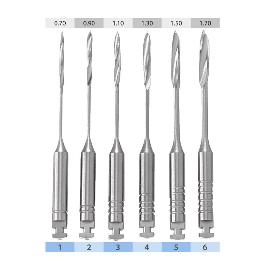 Peeso Largo 32 mm Royal Dent - Caja de 6 unidades
