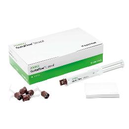 GuttaFlow bioseal Standard Set 60019560 Roeko - 1 jeringa 5ml + 12 puntas de mezcla