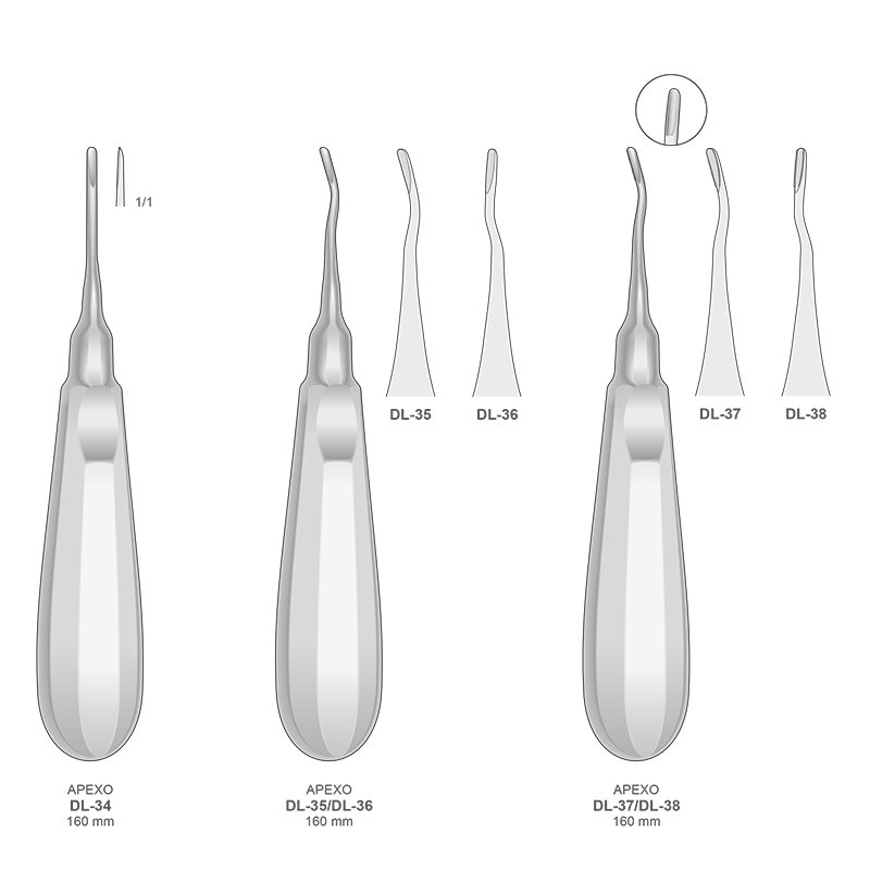 Apical Bontempi - 