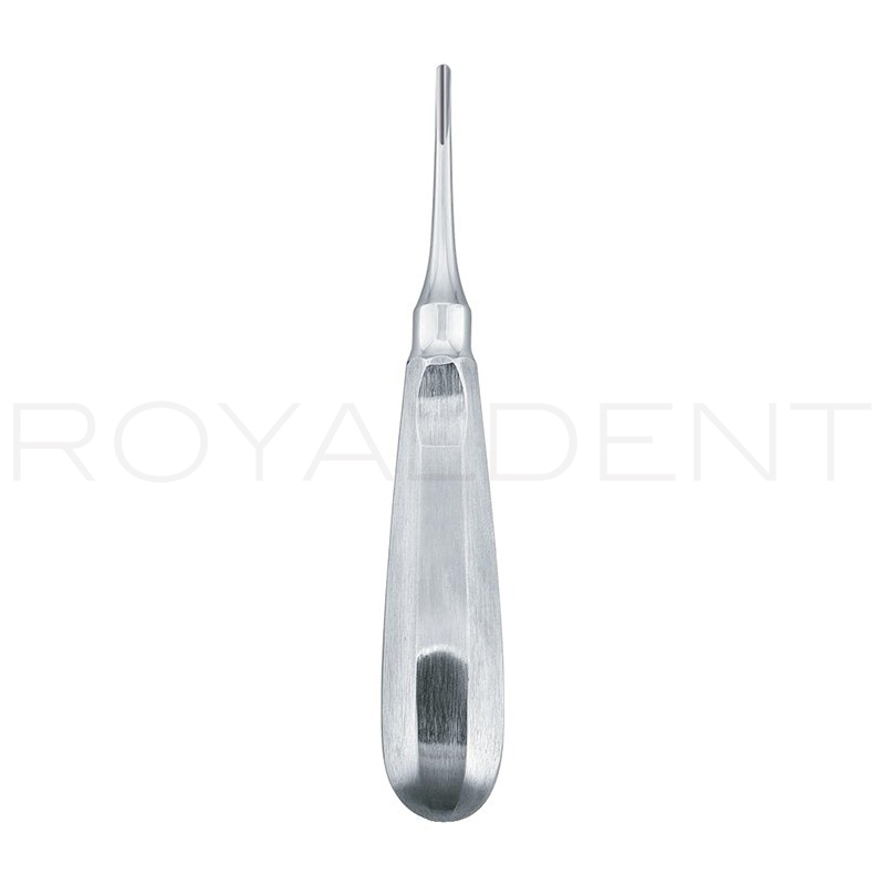 Botador Bein 3 American Eagle-Royal dent - 