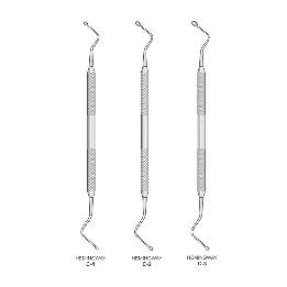 Cucharillas alveolares Hemingway  Royal Dent - 