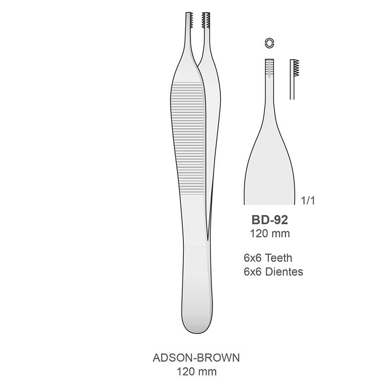 Adson-Brown 6 x 6 dientes BD-92 Bontempi - Recta. 12 cm.