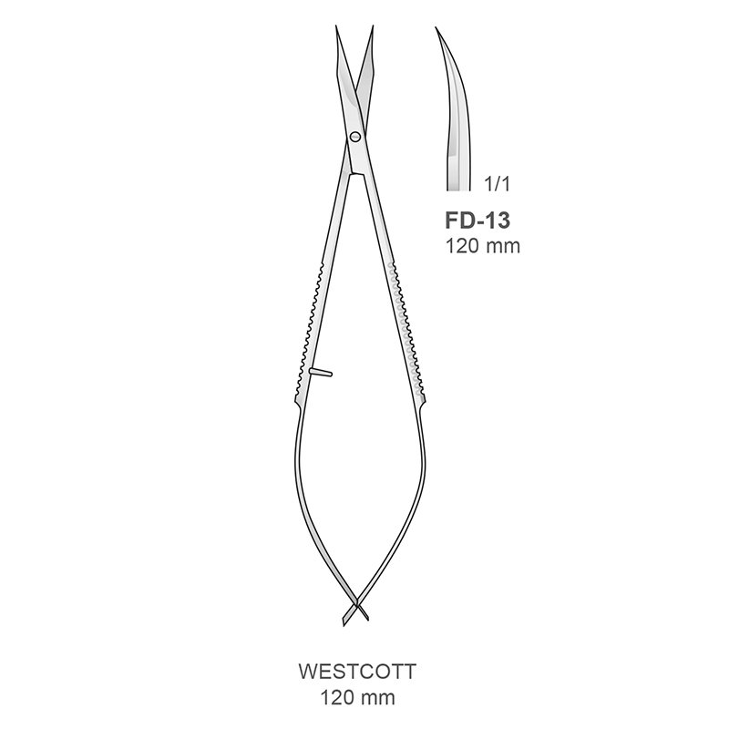 Westcott FD-13 Bontempi - Curvo