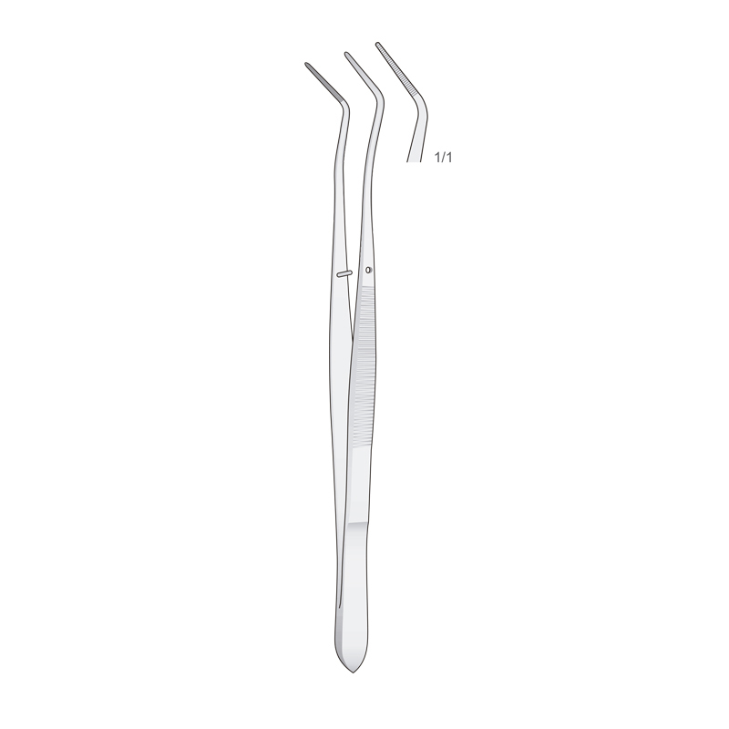 Pinza algodonera Meriam  American Eagle-Royal dent - 