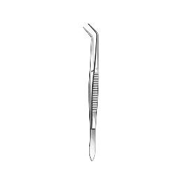 Pinza de algodón Flagg Royal Dent-Asa Dental - 
