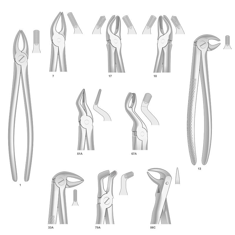 Juego de forceps 10 unidades  American Eagle-Royal Dent - 