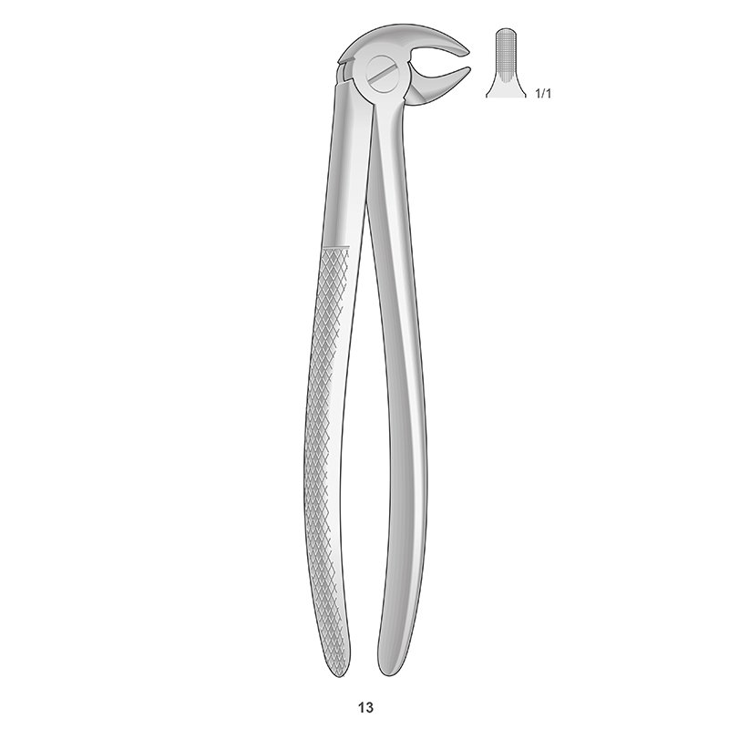 Forcep 13 Canino y premolar inferior Bontempi - 