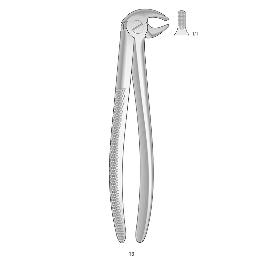Forcep 13 Canino y premolar inferior Bontempi - 