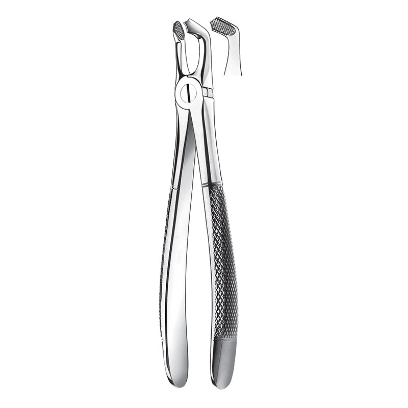 Forcep n 79 Cordales inferiores.  Carl Martin - 