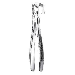 Forcep n 79 Cordales inferiores.  Carl Martin - 