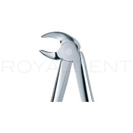 Forceps Caninos y premolares inferiores 13   American Eagle-Royal dent - 