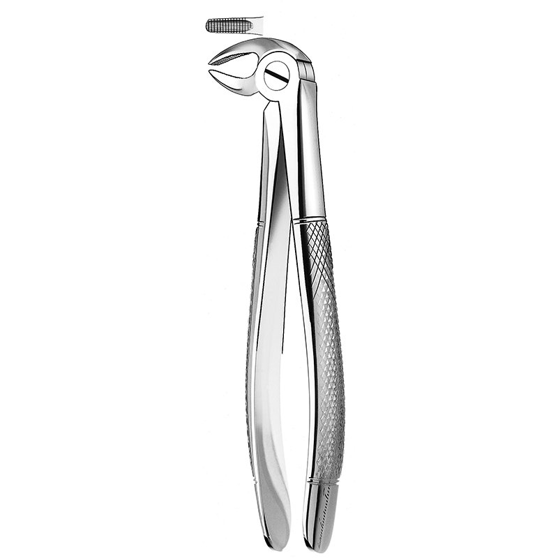 Forceps n 13 Canino y premolar inferior American Eagle-Royal Dent - 