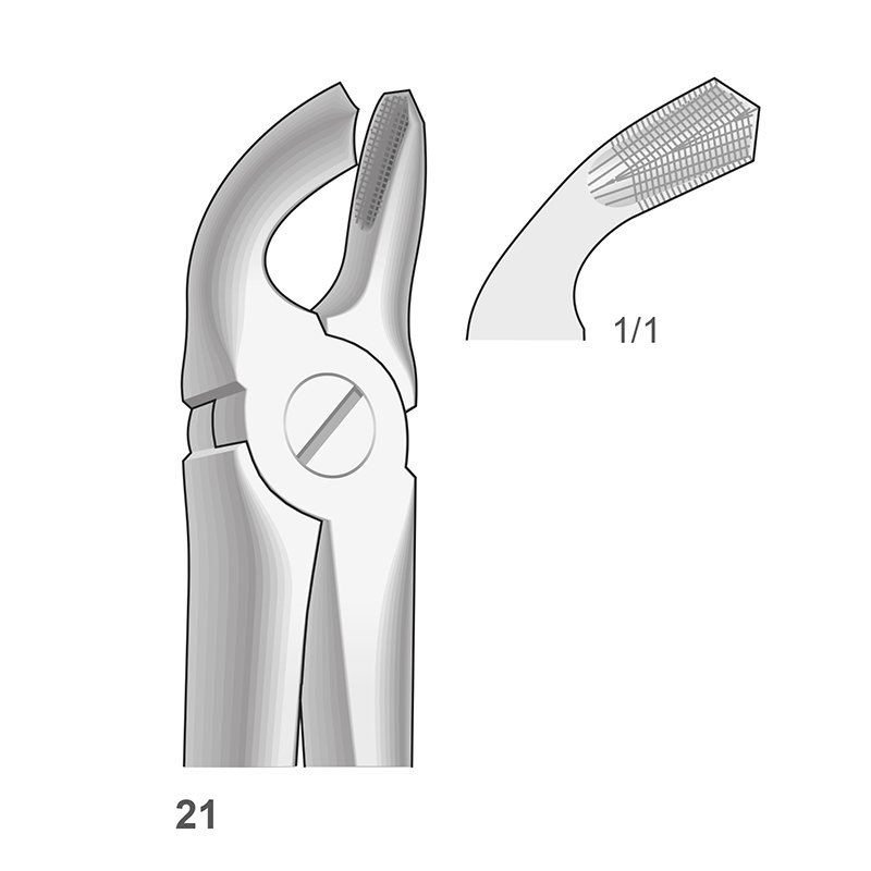 Forceps n 21 Bontempi - Para molares inferiores.