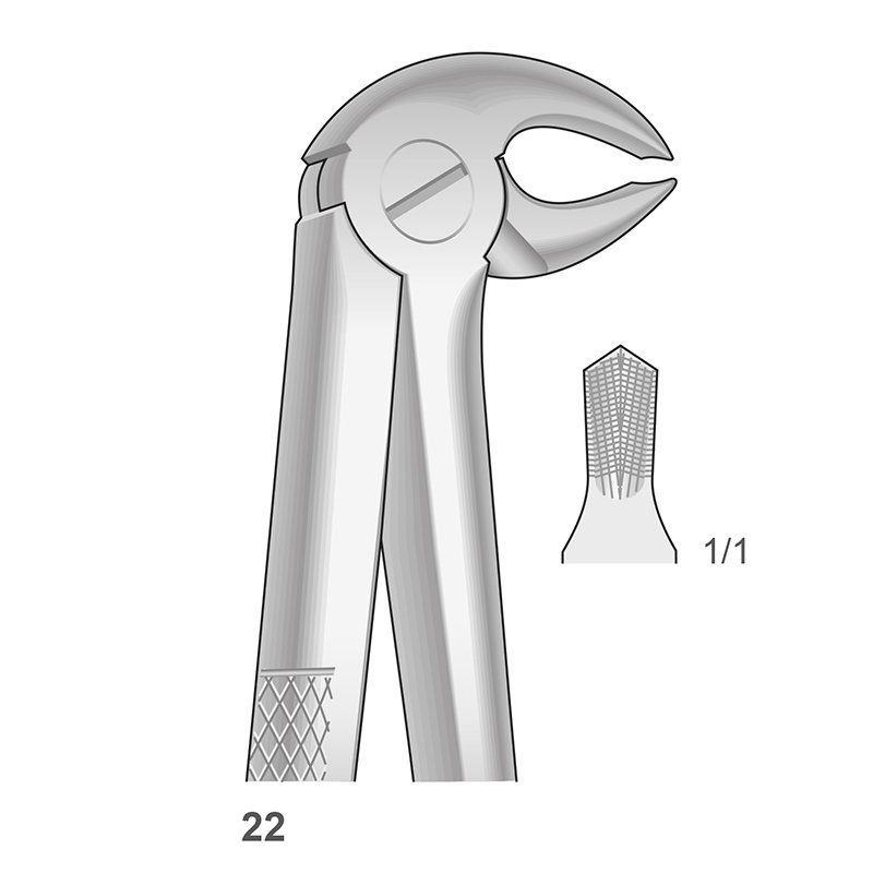 Forceps n 22 para molares inferiores. Bontempi - 