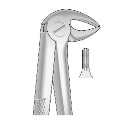 Forceps n 33 raices inferiores Royal Dent - 