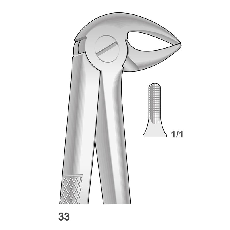 Forceps n 33 Bontempi - Para raices inferiores