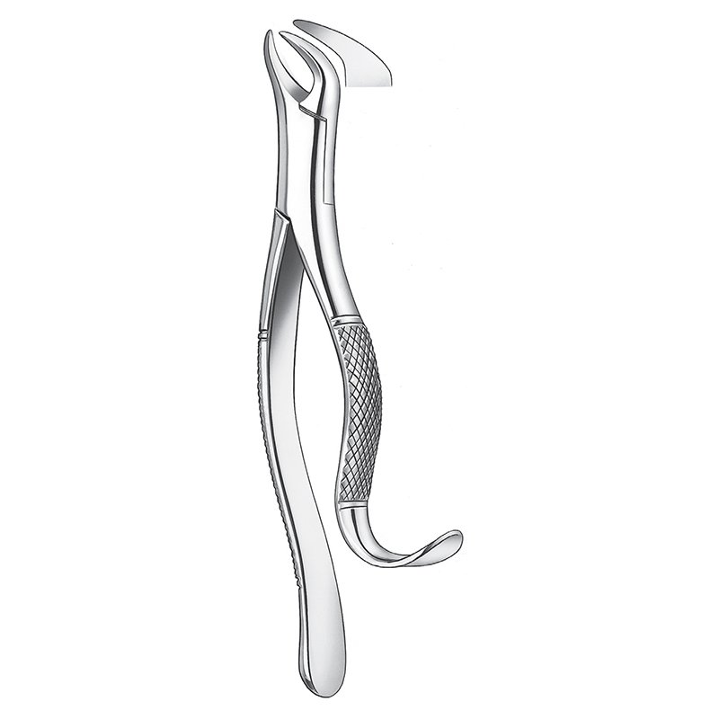 Forceps n 409/16  molares inferior Cuerno de vaca Carl Martin - 