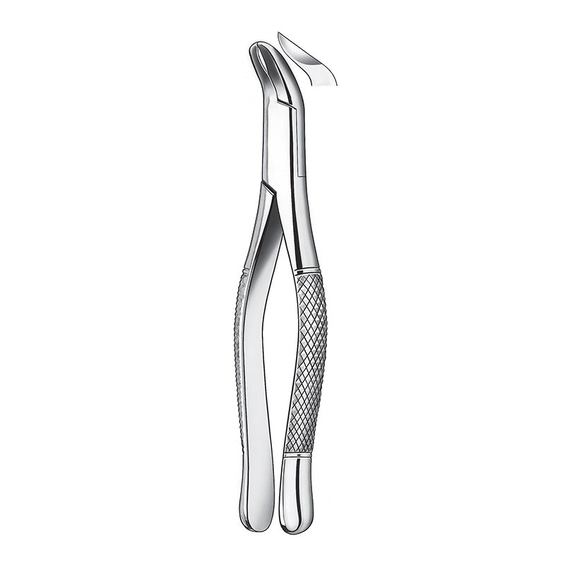 Forceps n 409/5 Carl Martin - Cordales inferiores. Physik.