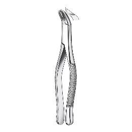 Forceps n 409/5 Carl Martin - Cordales inferiores. Physik.