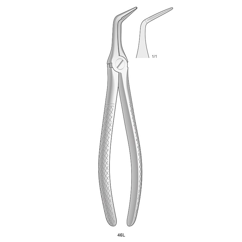 Forceps n 46 L Para raices inferiores Bontempi - 