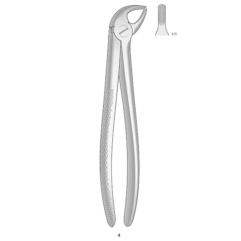 Forceps n 4 Bontempi - Incisivo y canino inferior.