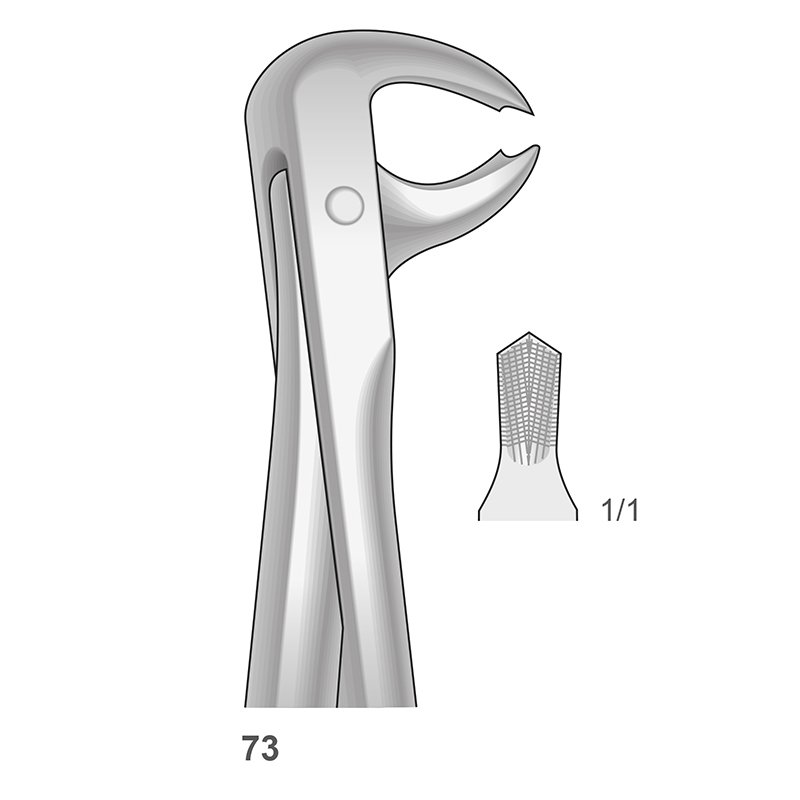 Forceps n 73 Bontempi - Para molares inferiores.