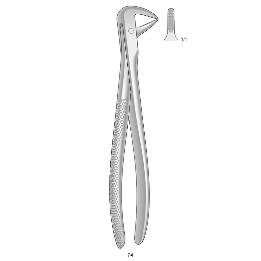 Forceps n 74 Bontempi - Para raices inferiores