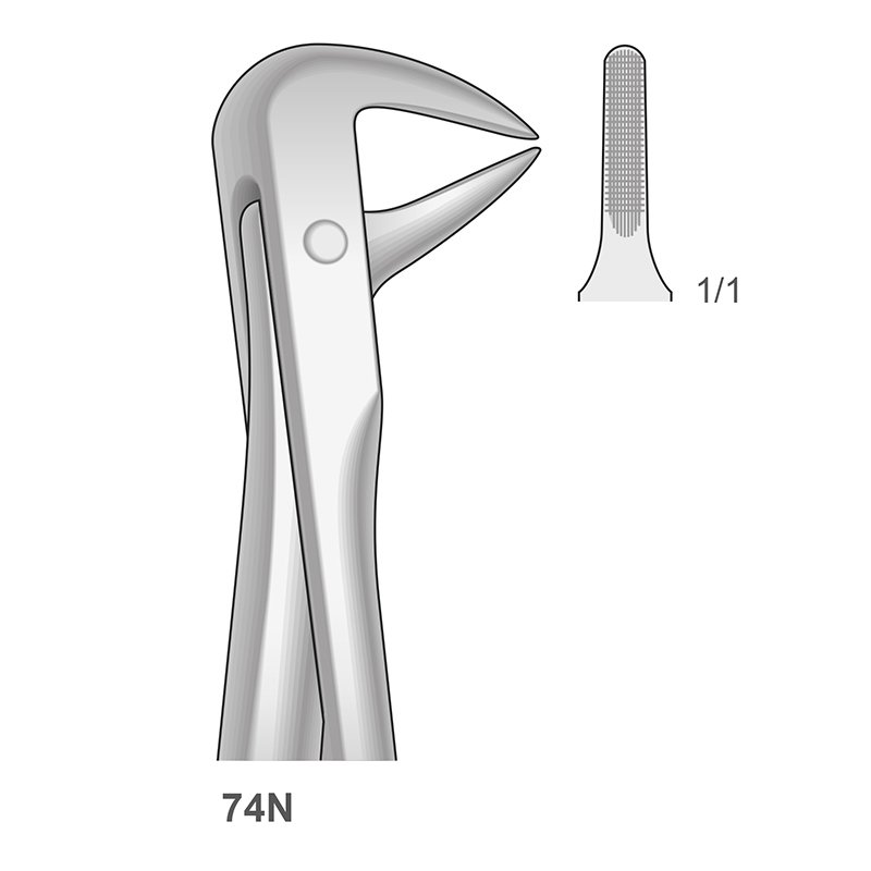 Forceps n 74N Bontempi - Para raices inferiores