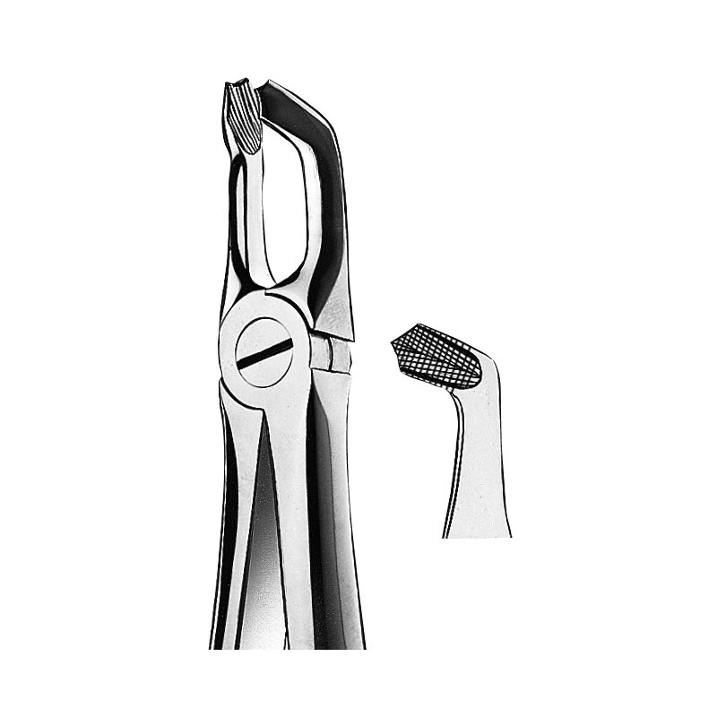 Forceps n 79 Cordales inferiores American Eagle-Royal Dent - 