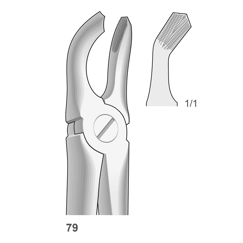 Forceps n 79 Bontempi - Para muela de juicio