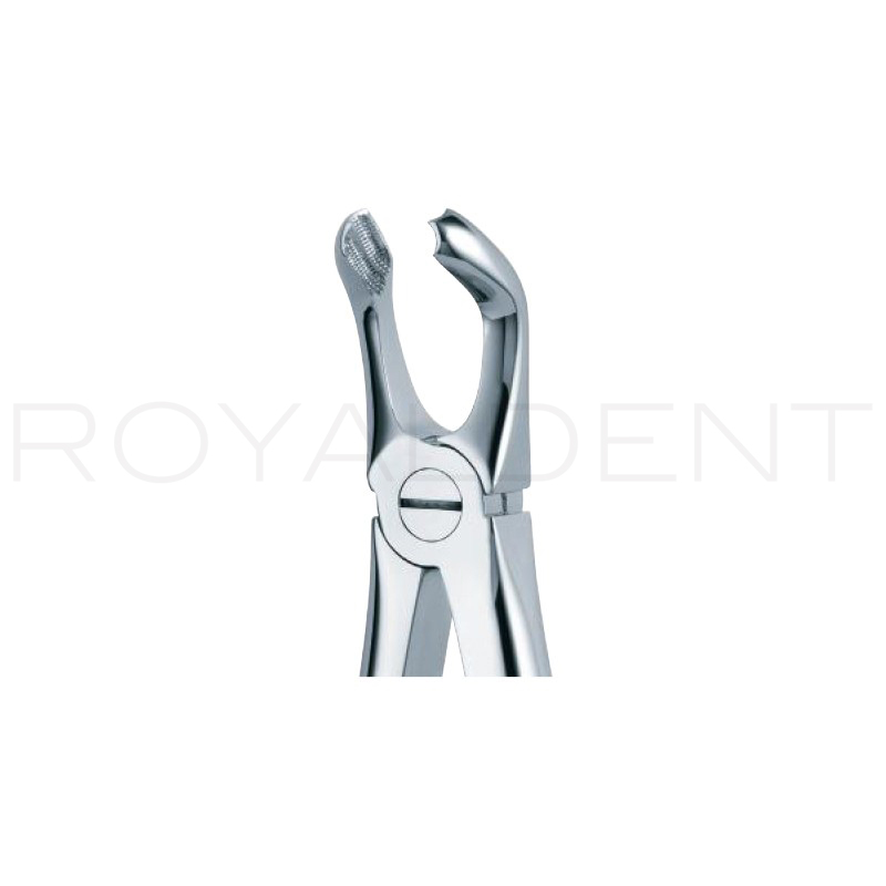 Forceps Octavos Inferiores 79  American Eagle - 