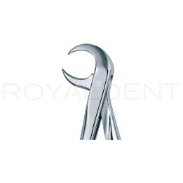 Forceps pico de Loro 86C  American Eagle-Royal dent - 