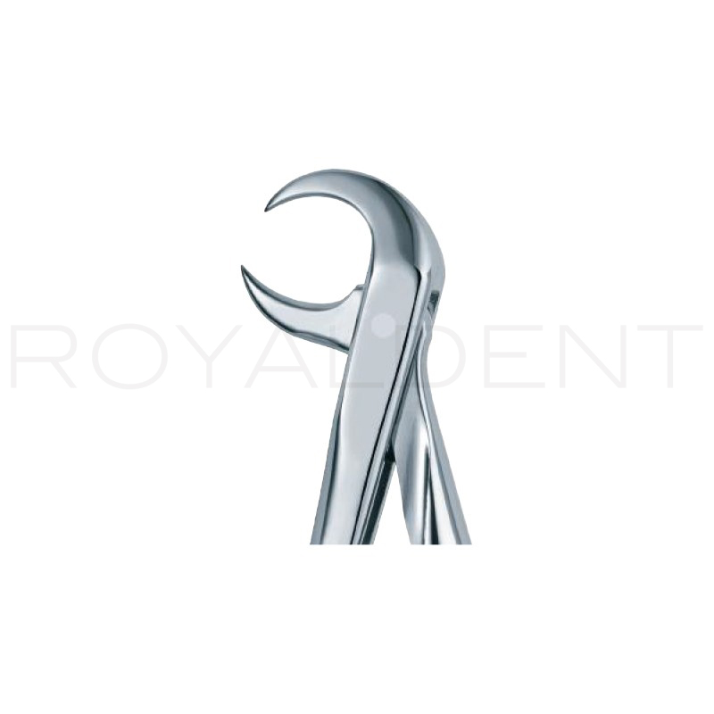 Forceps pico de Loro 86C  American Eagle - 