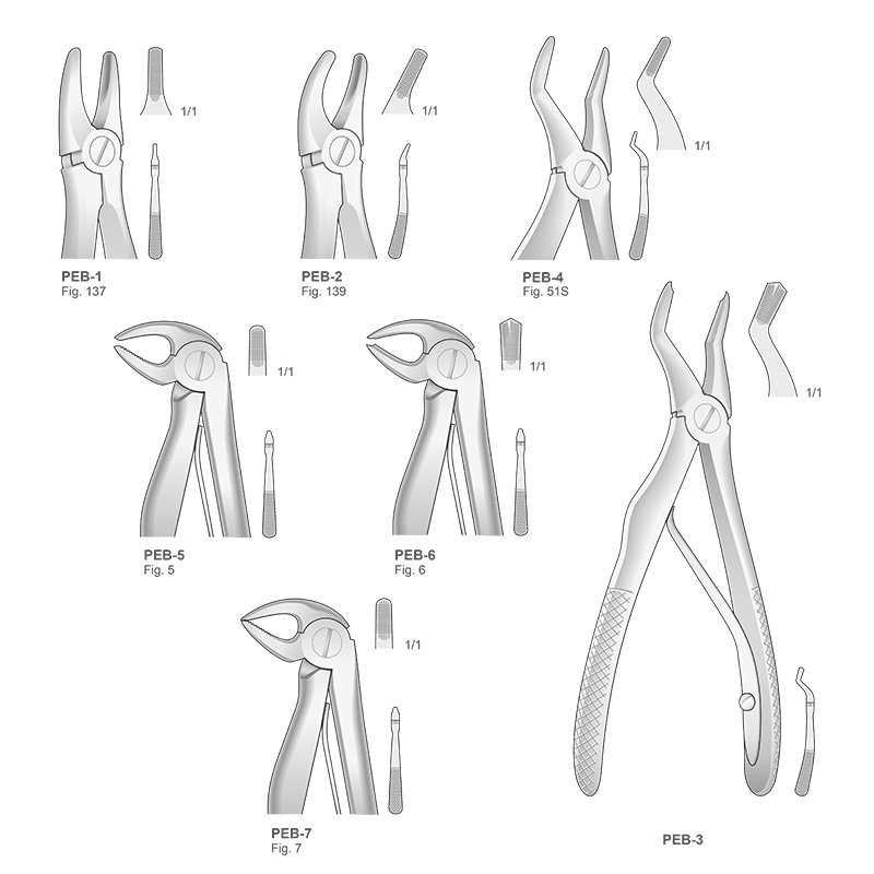 Forceps odontopediatría para niños Bontempi - 