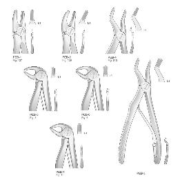 Forceps odontopediatría para niños Bontempi - 