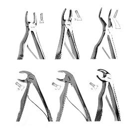 Forceps pediatría para niños Royal Dent - 