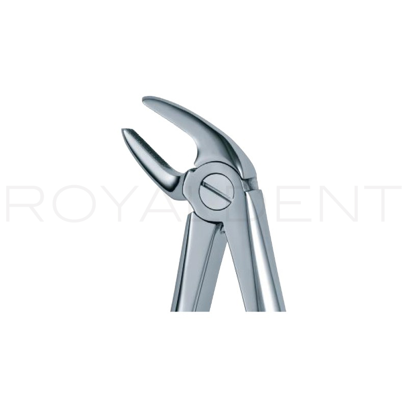 Forceps Caninos inf 4  American Eagle - 