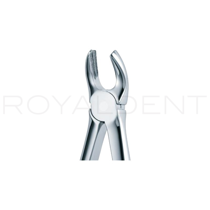 Forceps Molar Superior Dch 17  American Eagle-Royal dent - 