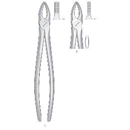 Forceps n 1-2  Bontempi - Incivos y caninos superiores