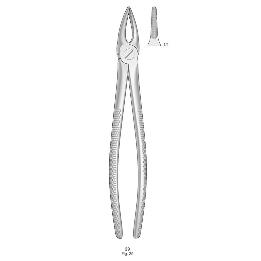 Forceps n 29 Bontempi - Para raices superiores