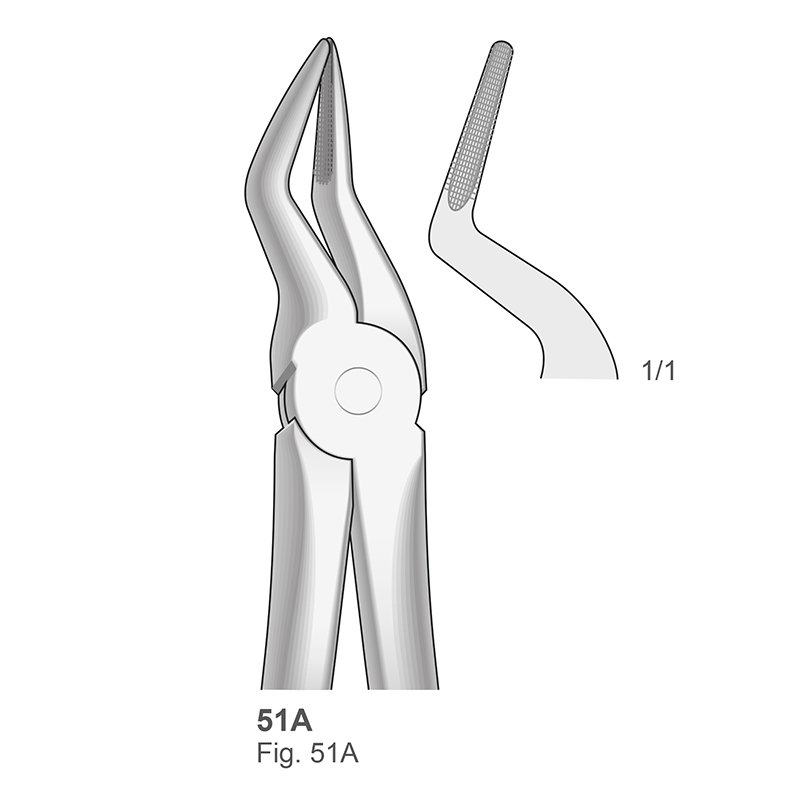 Forceps n 51A Bontempi - Para raices superiores