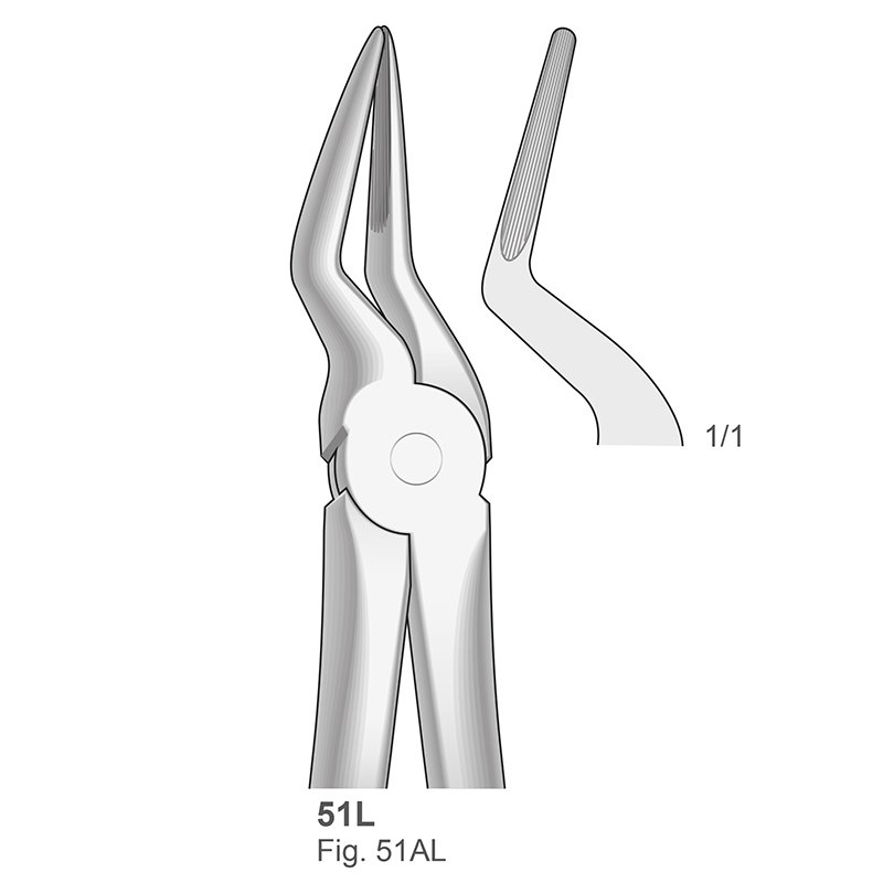 Forceps n 51L Bontempi - Para raices superiores