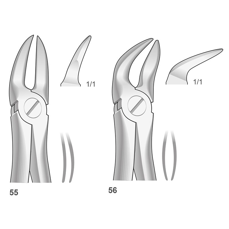 Forceps n 55-56  Bontempi - Separar molares